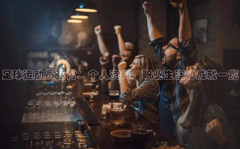 中欧体育官方网站链接百度数据开放平台足球运动员张霄：个人资料、职业生涯和成就一览