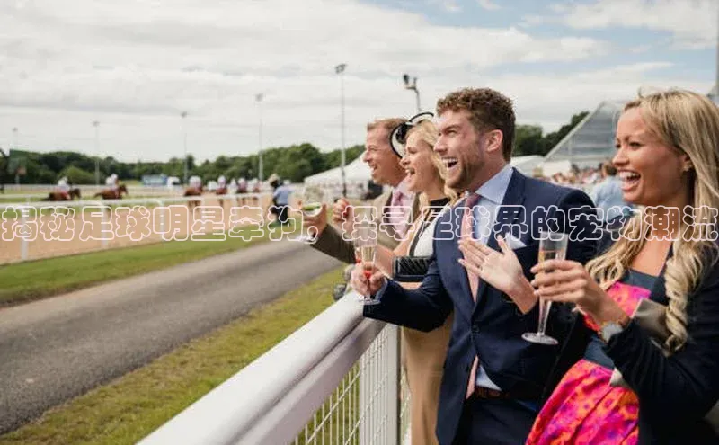 zoty官方体育网页版百度营销中心揭秘足球明星牵狗，探寻足球界的宠物潮流