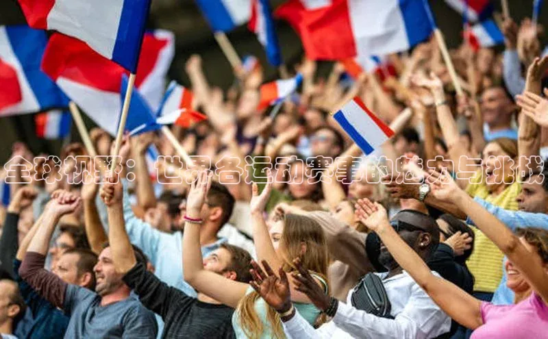 中欧体育官方网站链接百度数据开放平台全球视野：世界各运动赛事的魅力与挑战