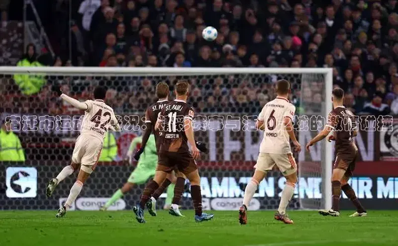 中欧体育网页梯哥哥科技宿迁市运动会盛况：精彩赛事与活力之城的激情碰撞