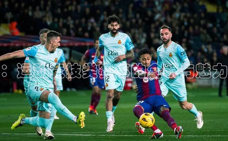 中欧体育网页版入口路畅科技：运动竞技类赛事的全貌与魅力