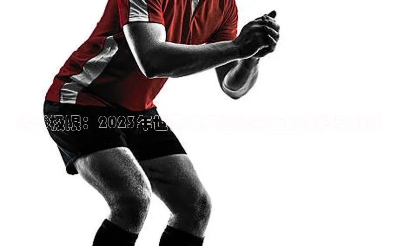 超越极限：2023年世界顶级运动赛事的精彩与挑战