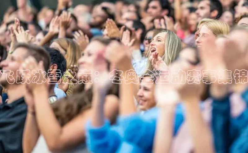 飞跃冰雪之巅：冬奥会运动赛事集锦
