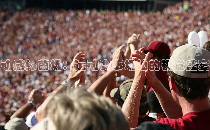 动感绿茵场：运动赛事场地的视觉盛宴