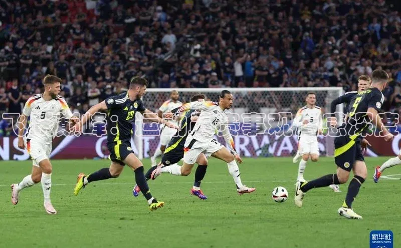 飞跃巅峰：运动员赛事观后感深度