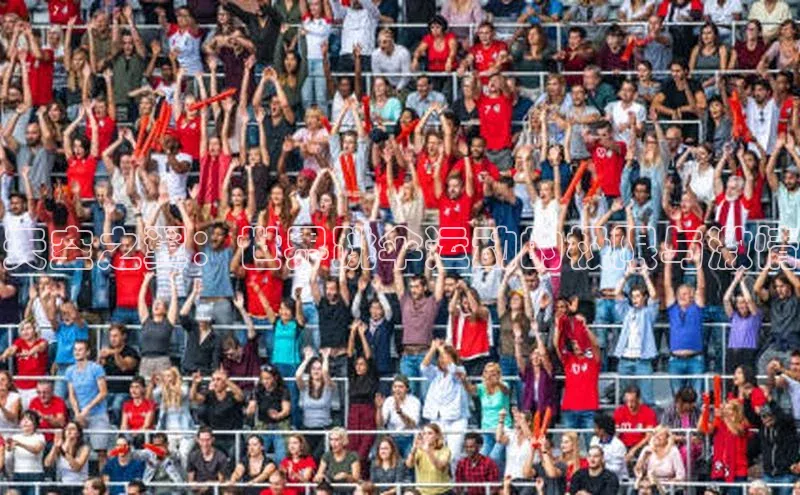 天空之翼：世界跳伞运动的极限与激情