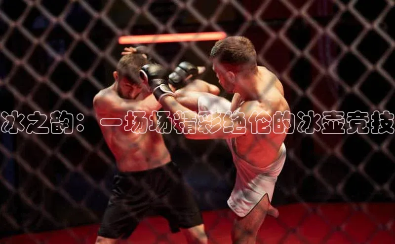 冰之韵：一场场精彩绝伦的冰壶竞技