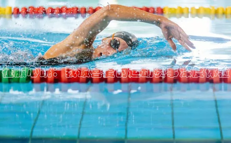 征服心跳：我最喜爱的运动赛事深度体验