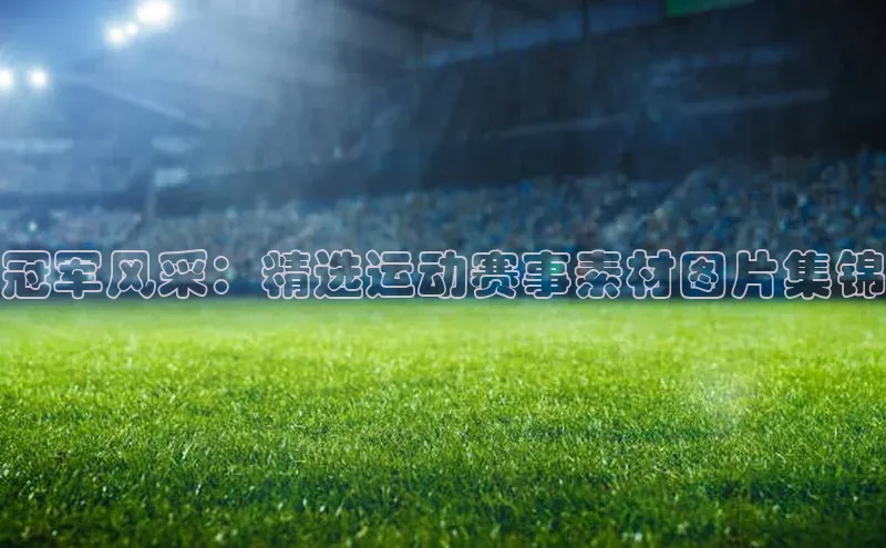 冠军风采：精选运动赛事素材图片集锦