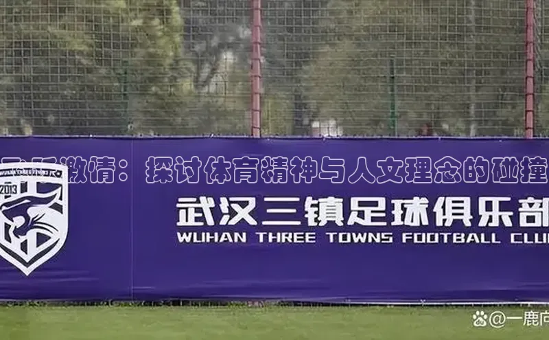 飞跃激情：探讨体育精神与人文理念的碰撞