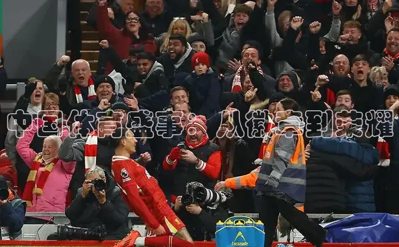 中国体育盛事：从徽章到荣耀