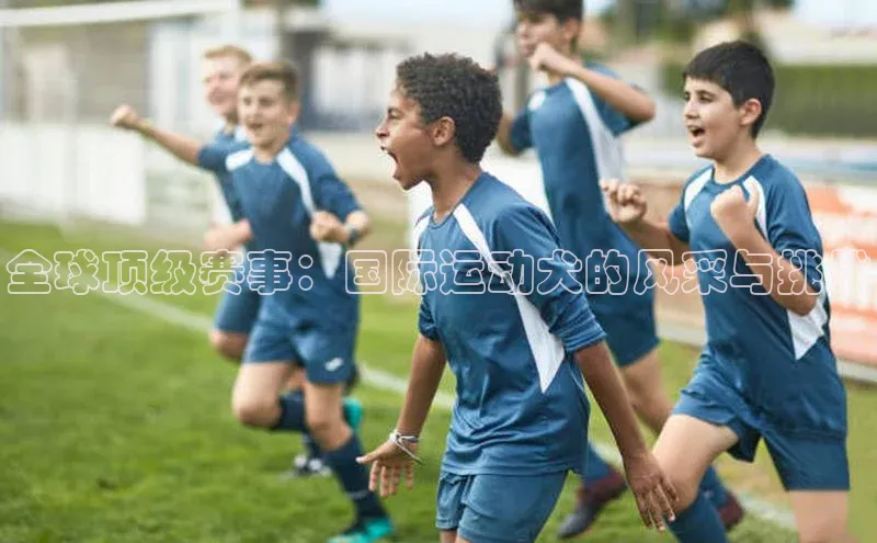 全球顶级赛事：国际运动犬的风采与挑战