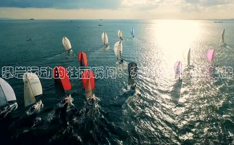 中欧体育app下载