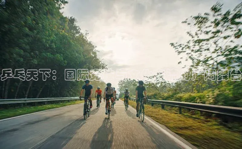 中欧体育网页版入口