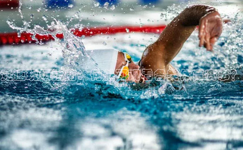 竞速现场指南：何处可观看各类体育赛事？