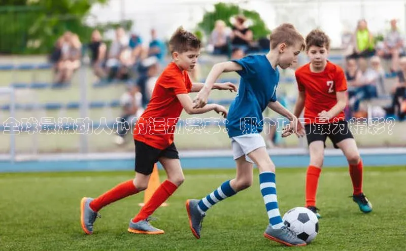 中欧体育网页版入口