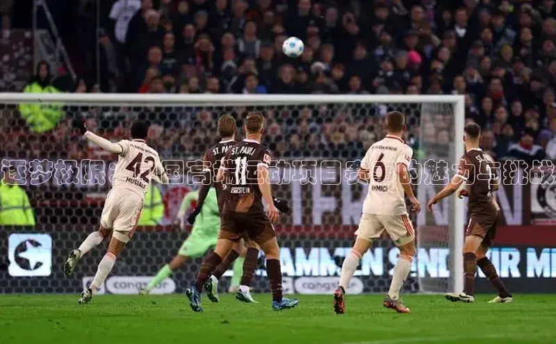 逐梦极限：中国高端运动项目赛事的魅力与挑战