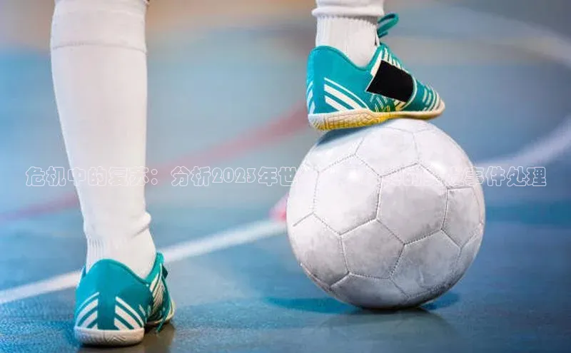 危机中的复苏：分析2023年世界杯足球赛的突发事件处理