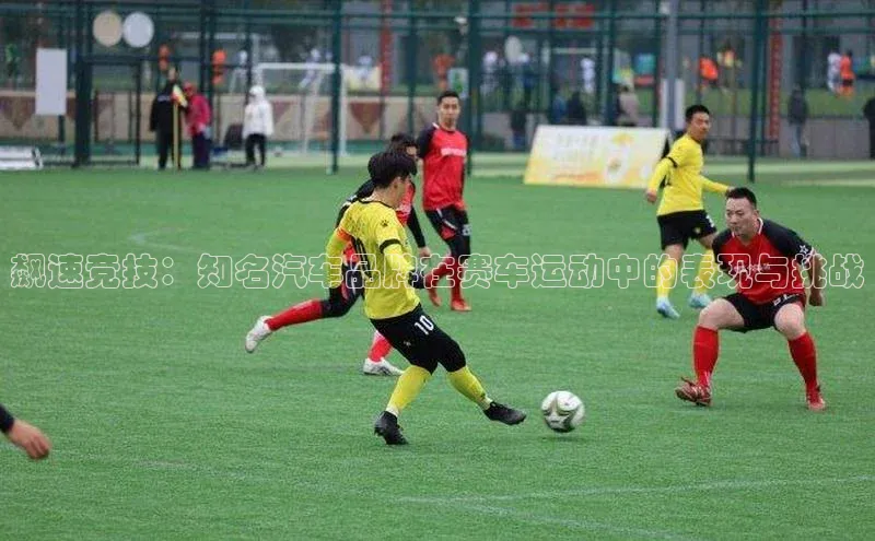 飙速竞技：知名汽车品牌在赛车运动中的表现与挑战