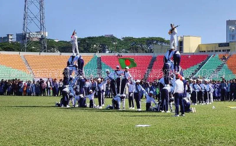 中欧体育官方网站链接