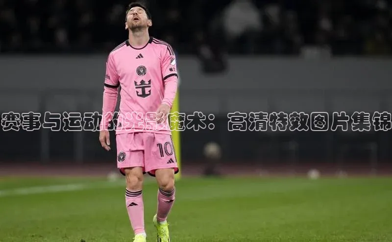中欧体育全站app在线登录
