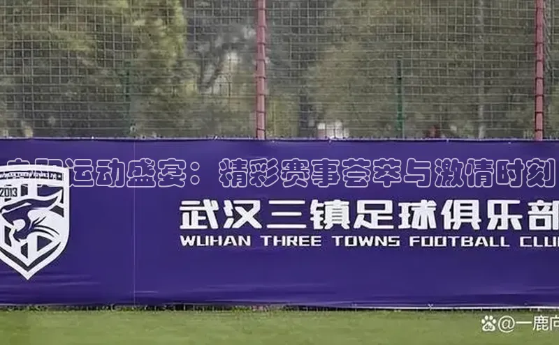 中欧体育